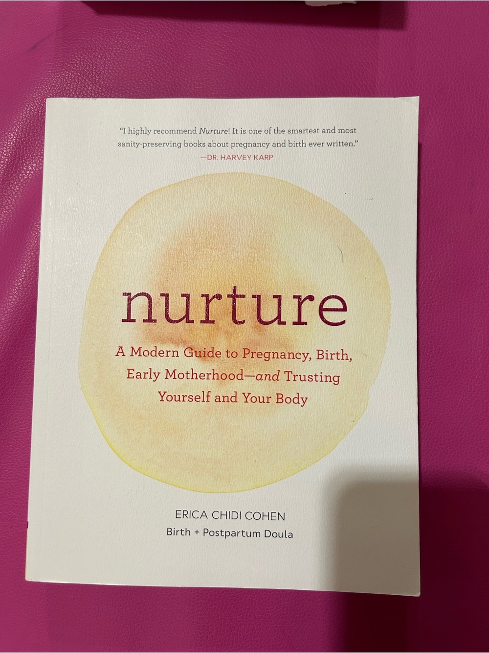 Nurture (Pregnancy Book) by Erica Cohen